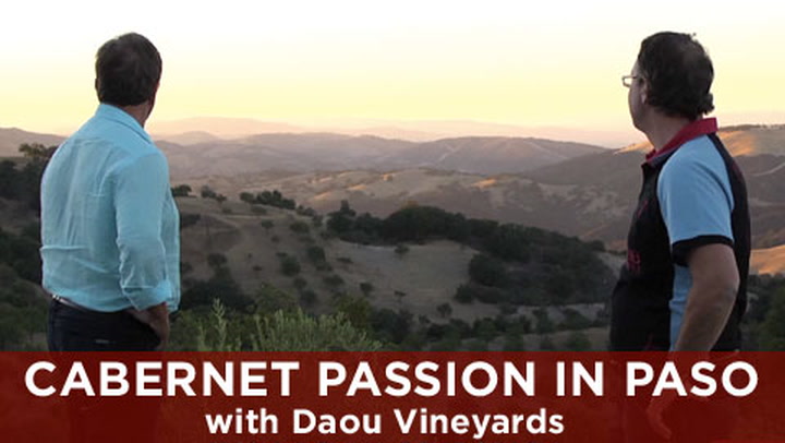 Cabernet Passion in Paso with Daou Vineyards