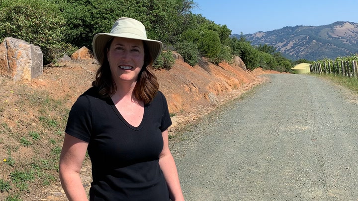 In the Vineyard at Colgin: Contrasting Cabernet Vineyards