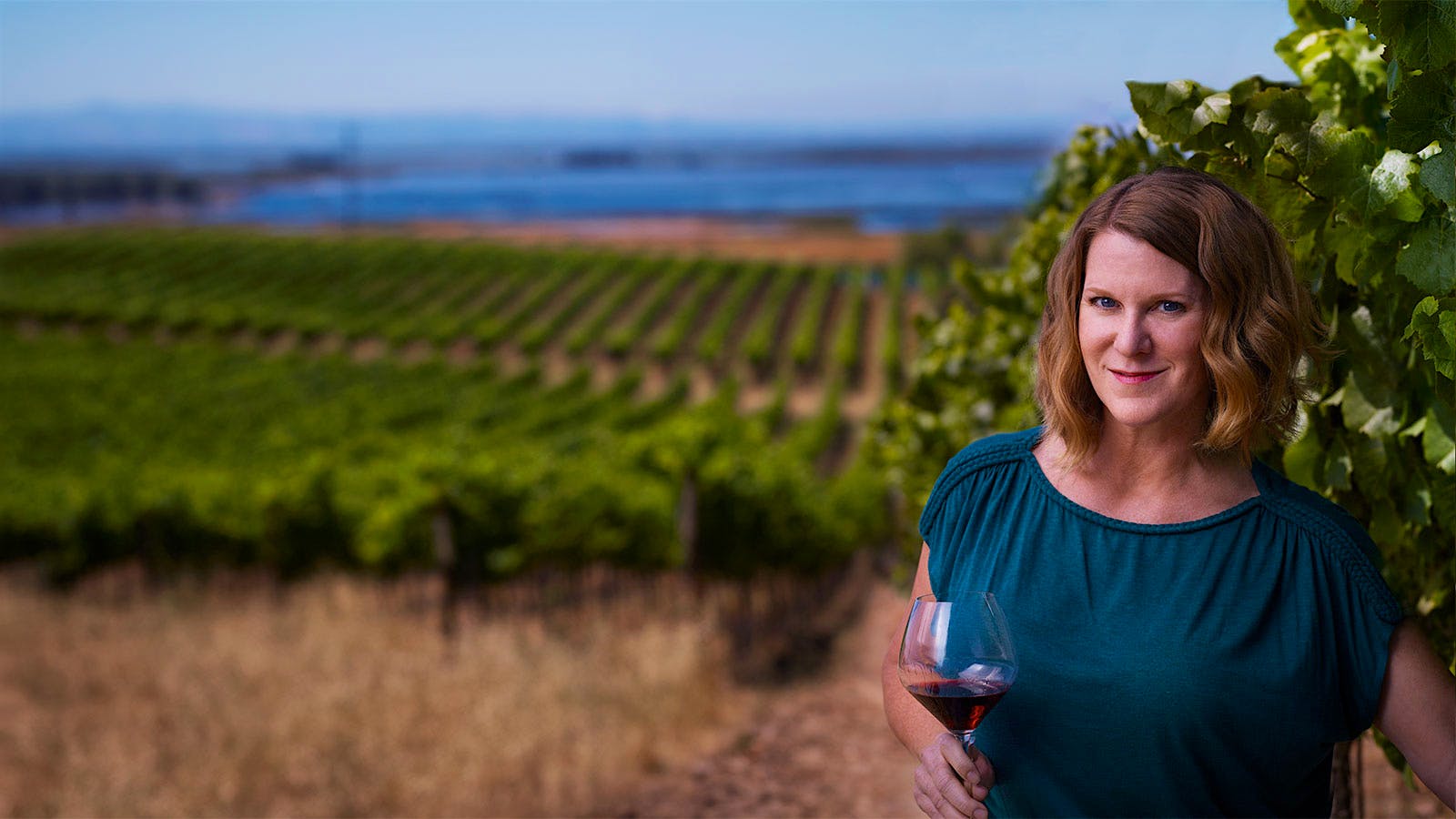 Bouchaine winemaker Chris Kajani in the winery's Carneros vineyards