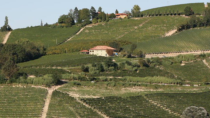 Gaja Barbaresco: How Costa Russi and Sorí Tildín Got Their Names