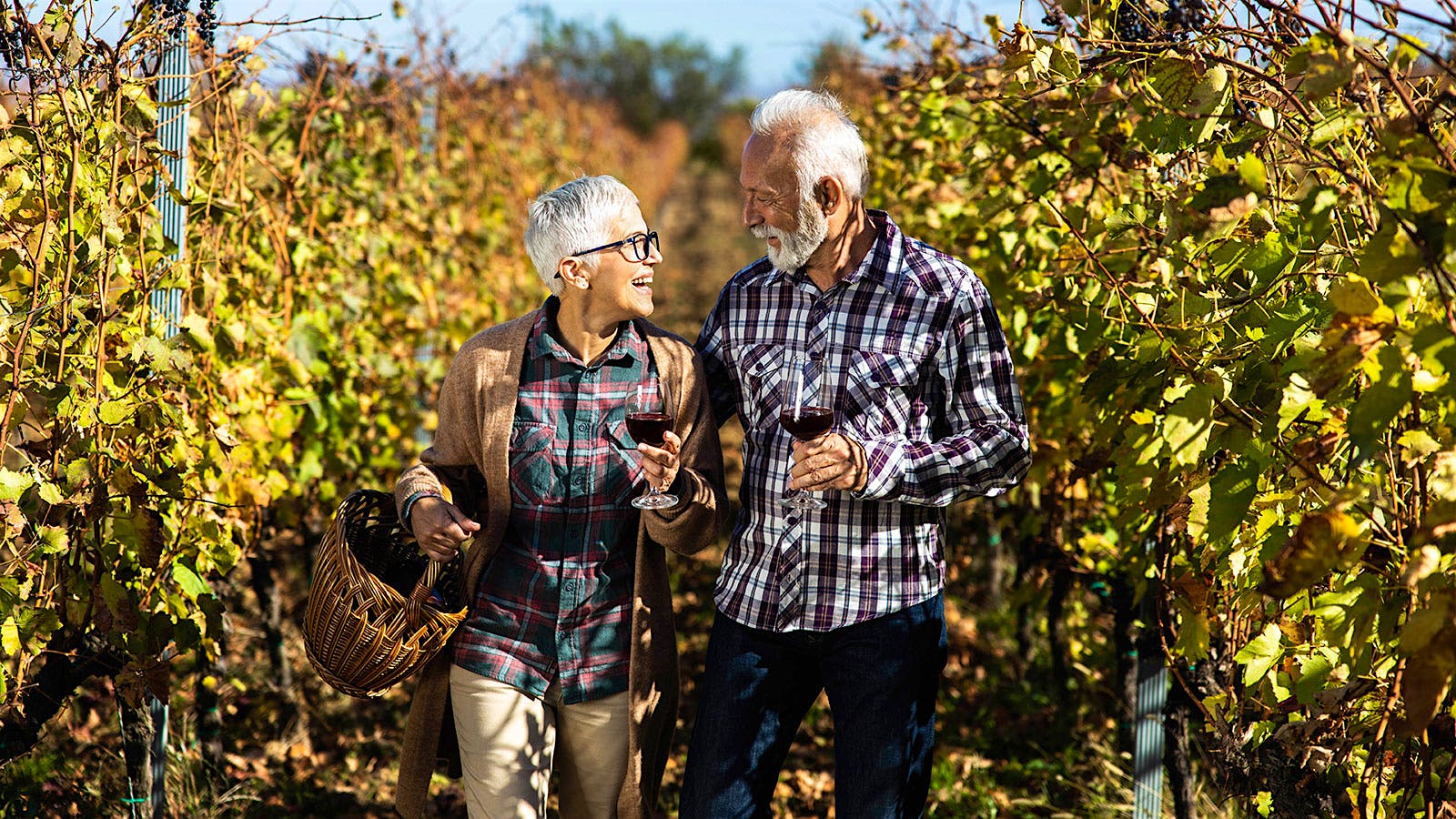 Senior couple walking through a vineyard and holding glasses of red wine