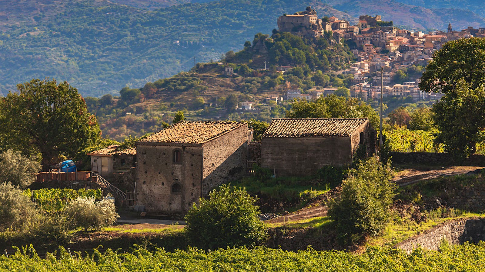 Mount Etna vineyards