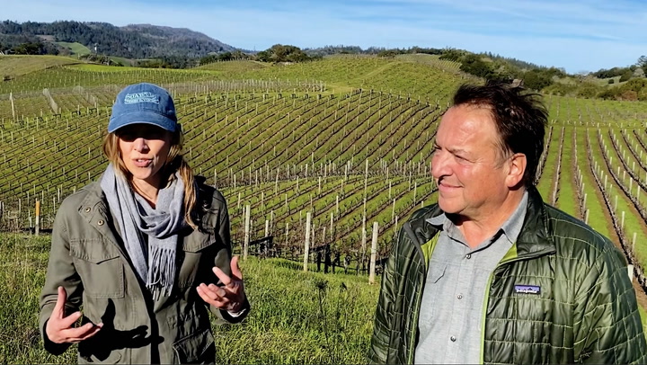 In the Vineyard at Brandlin Estate