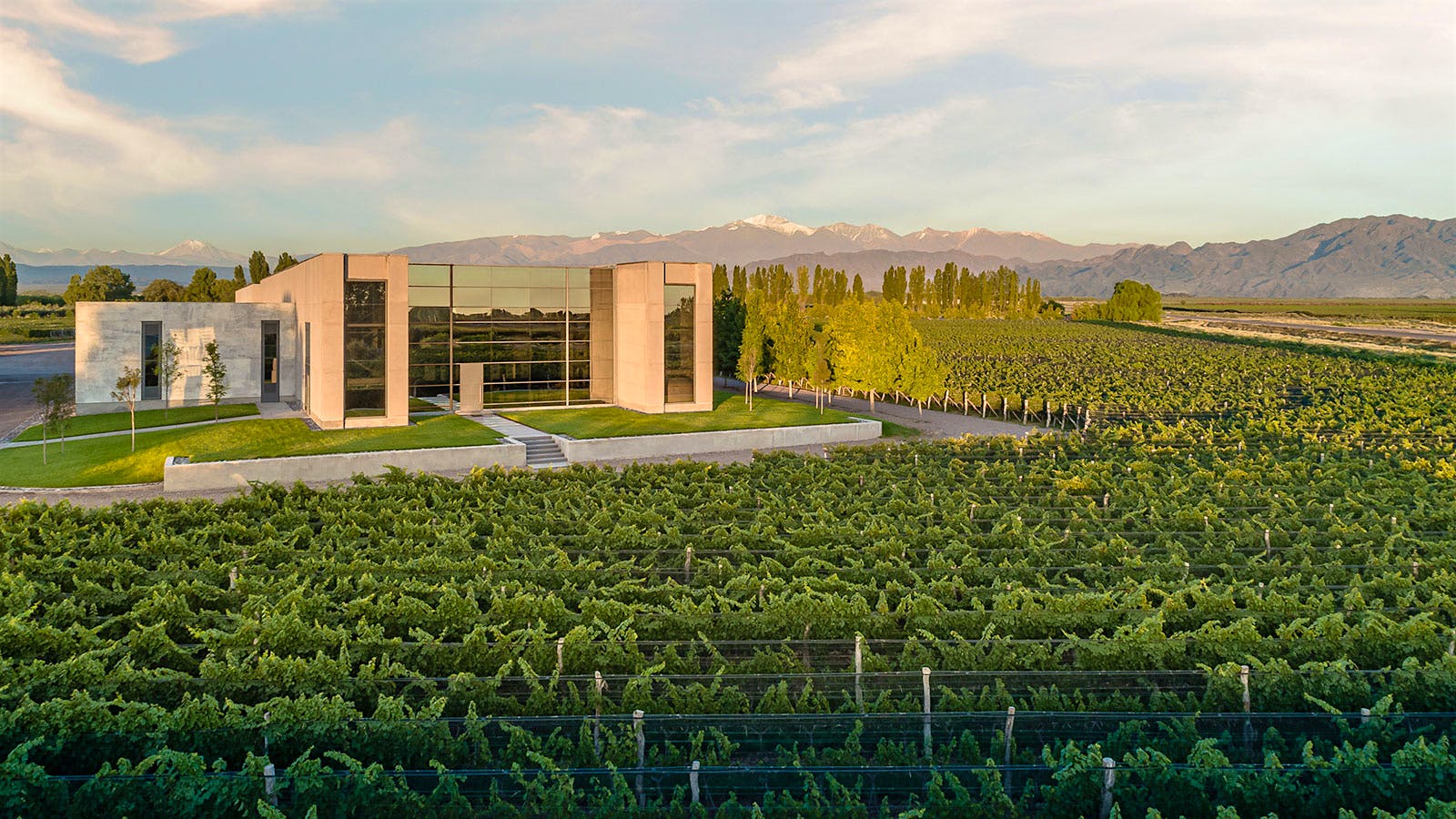 Exterior of Argentina winery Viña Cobos amid the vines